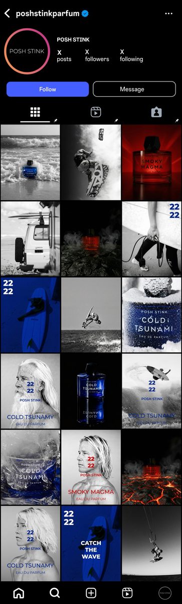 Posh Stink Instagram grid