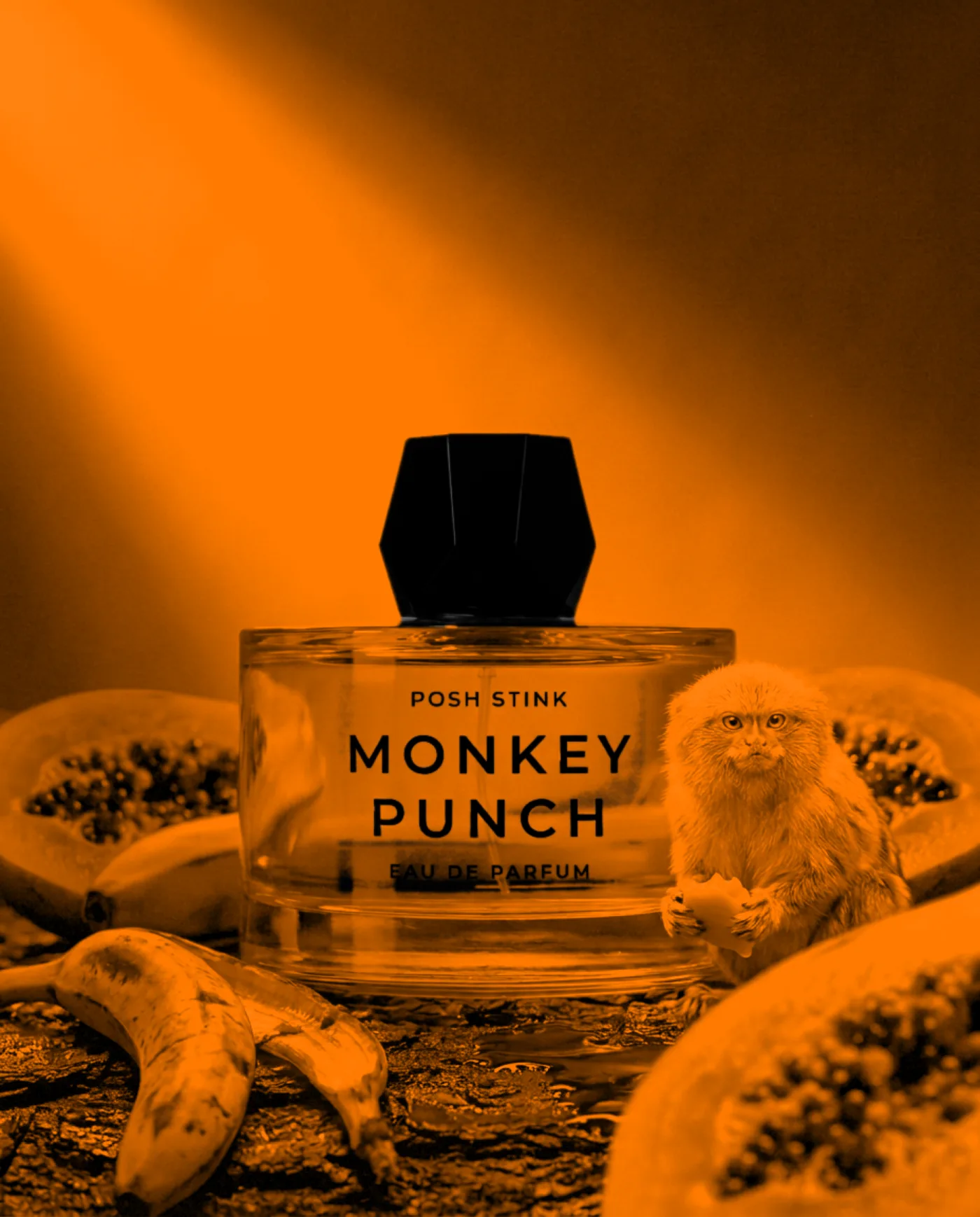 Posh Stink · Verpackungsdesign und Art Direction · Alkeme Design