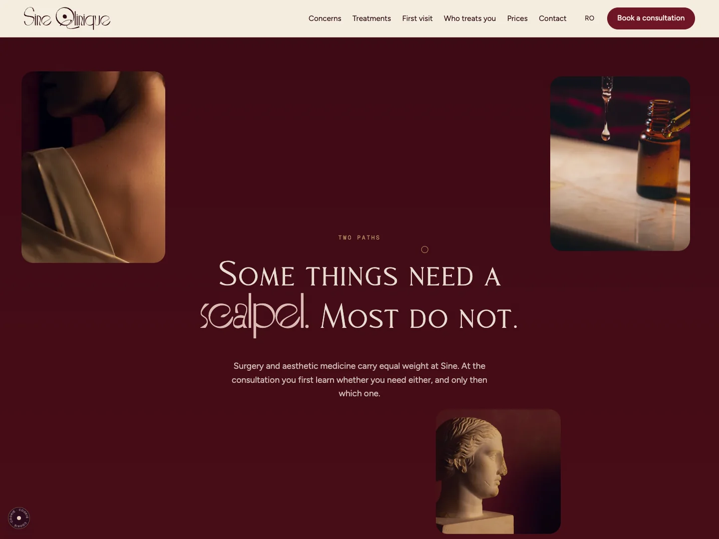 Website von Sine Qlinique: die Startseite · Alkeme Design